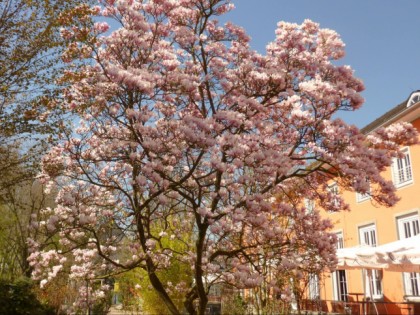 Фото: Kasino Lippstadt